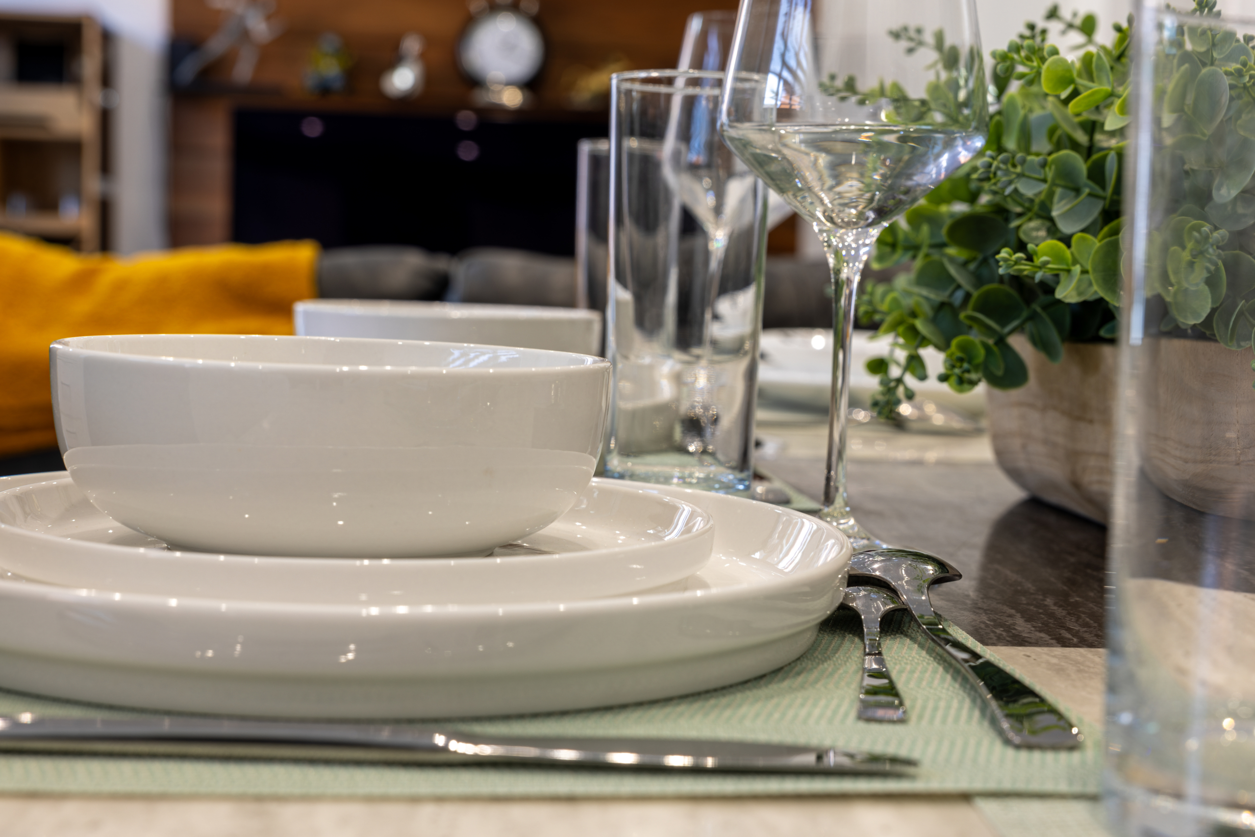 Dining plate setup portrait