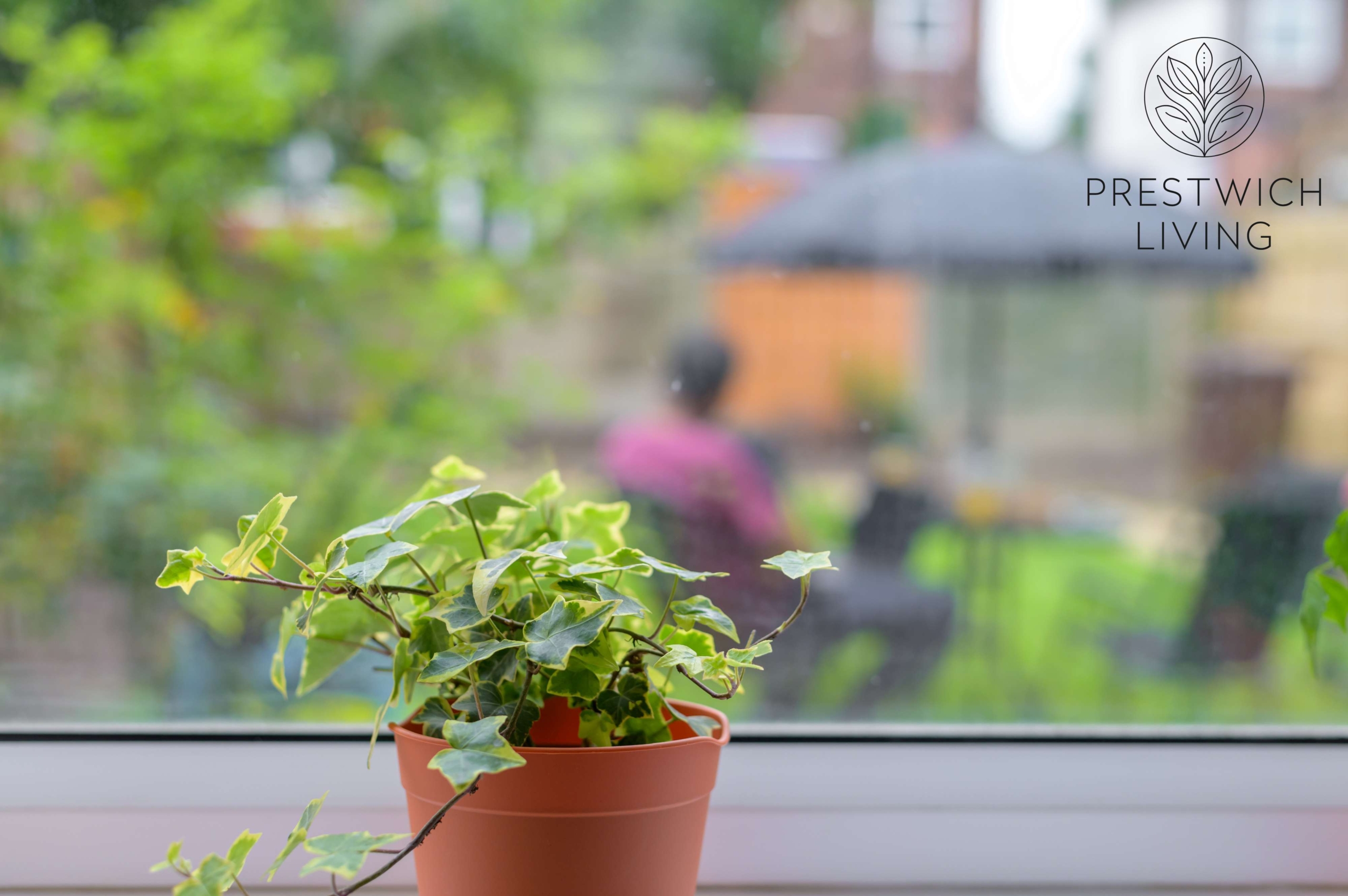 prestwich-living-hestia-house-20
